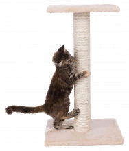Cat Scratching Post